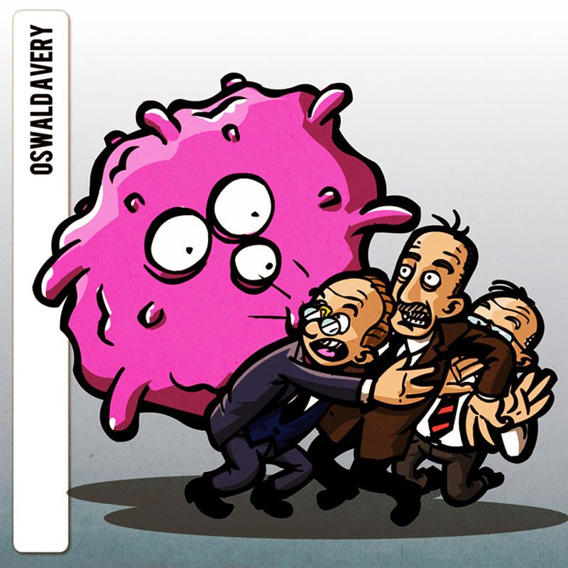 NDLA – evolution theory | various illustrations