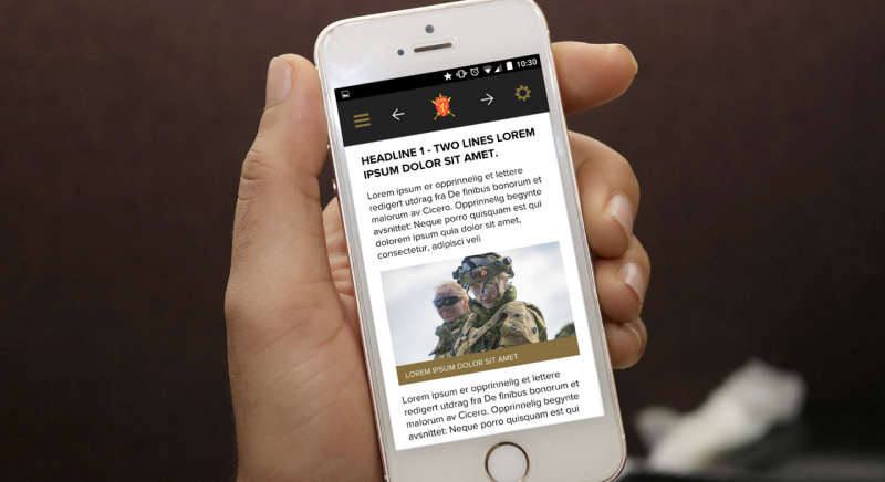 FORSVARET – MLAB MOCKUP